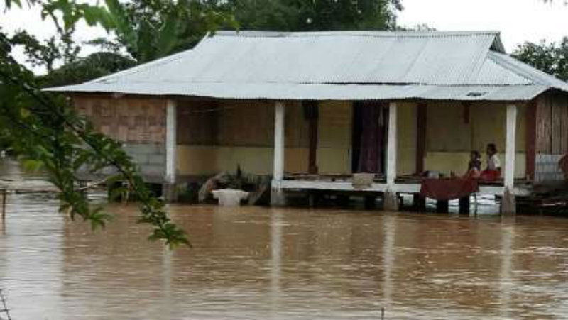 assam 3