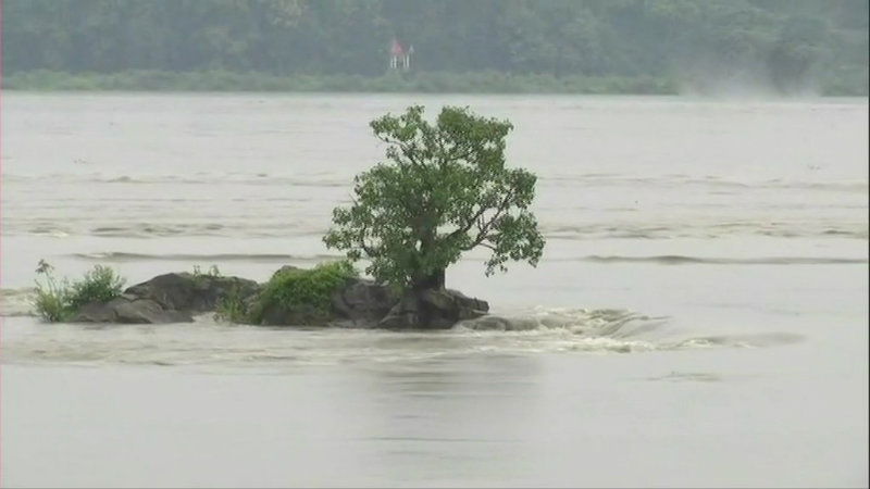 assam 4
