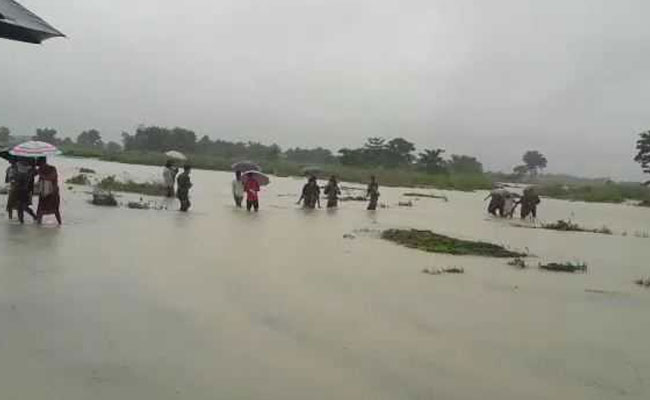 assam 5