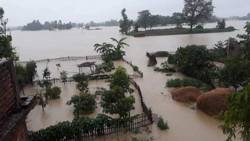 bihar flood 5