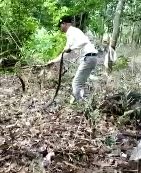 ckm kalinga sarpa 2 e1562907608151