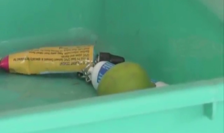 lemon e1562234983546
