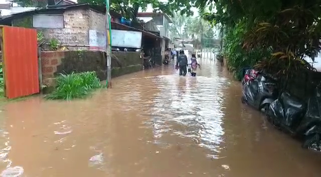 mng rain 1