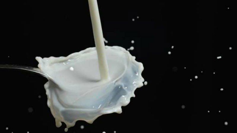 mp milk 67