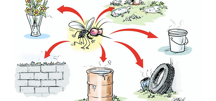 precautionary steps cure dengue