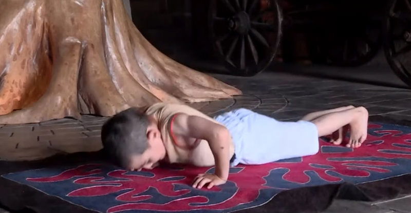 pushup boy 2