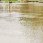 rain 5
