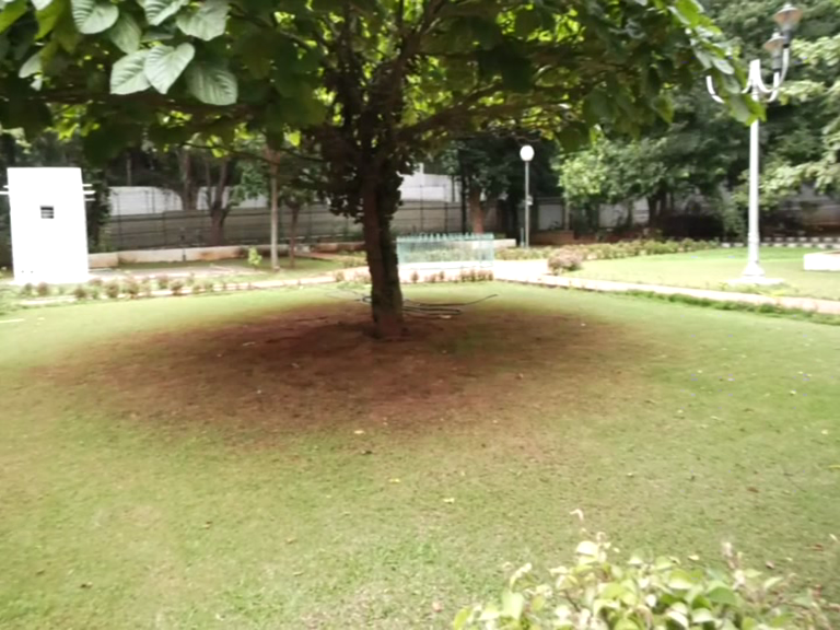 vlcsnap 2019 07 30 13h48m30s443