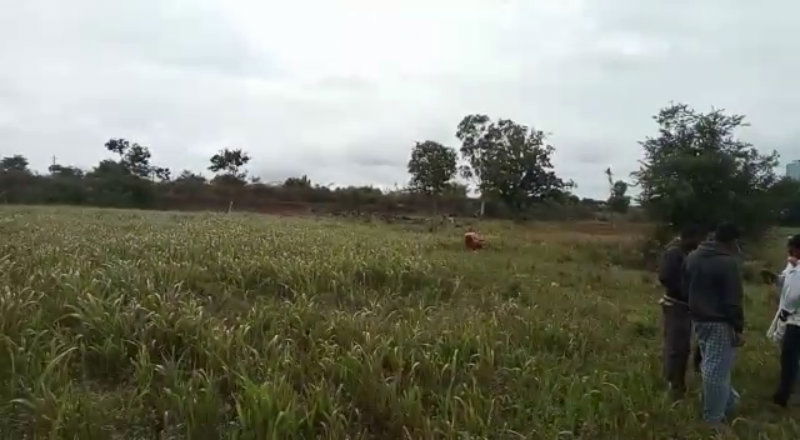 CKM2