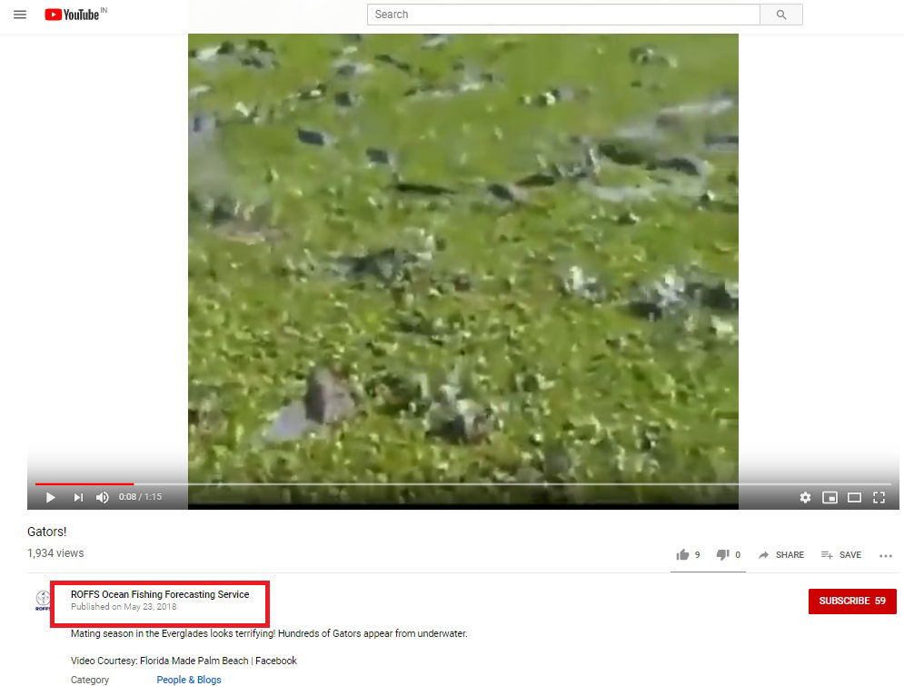 Gujarat Vishwamitri River Crocodiles fake news 3 fake news