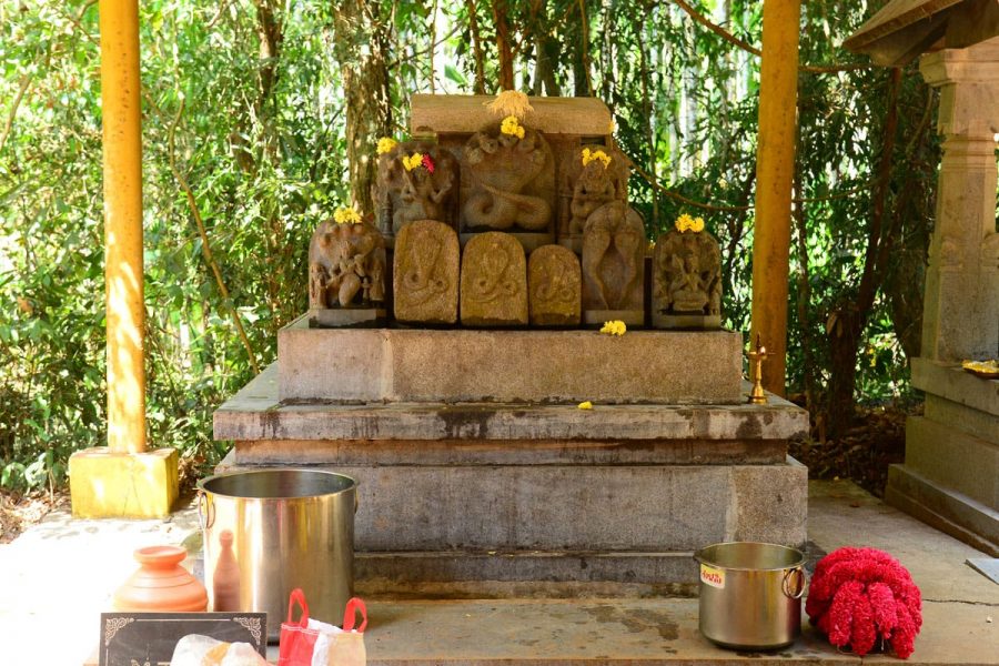 Mng nagapanchami 3