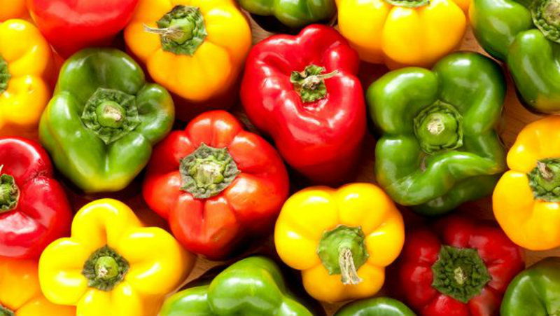 capsicum 1