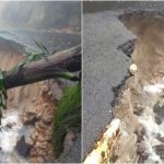 ckm charmadi ghat collage