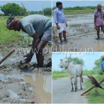 cng rain collage copy