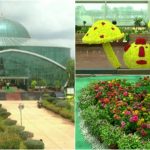 dvg glass house collage