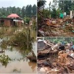 mdk after flood collage