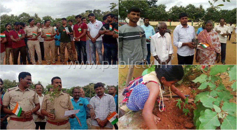 mnd plant challenge 1