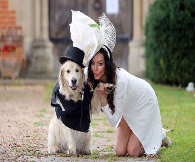 model dog 1