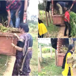 nml leelavathi collage copy