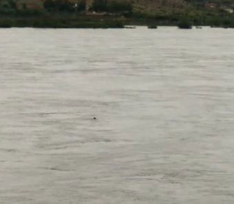 ydr rain swimming 1