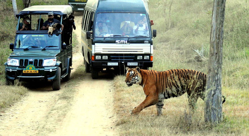 BANDIPUR 2