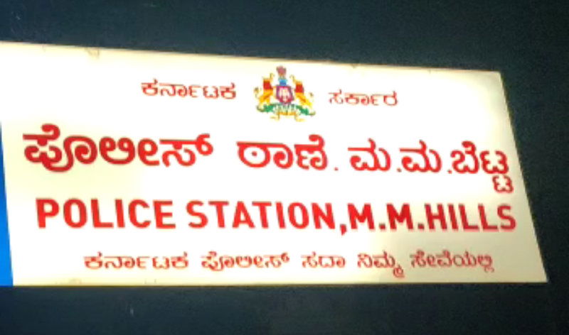 CNG Cow B