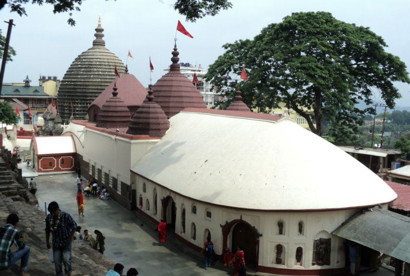 Kamakhya rakta kalyani