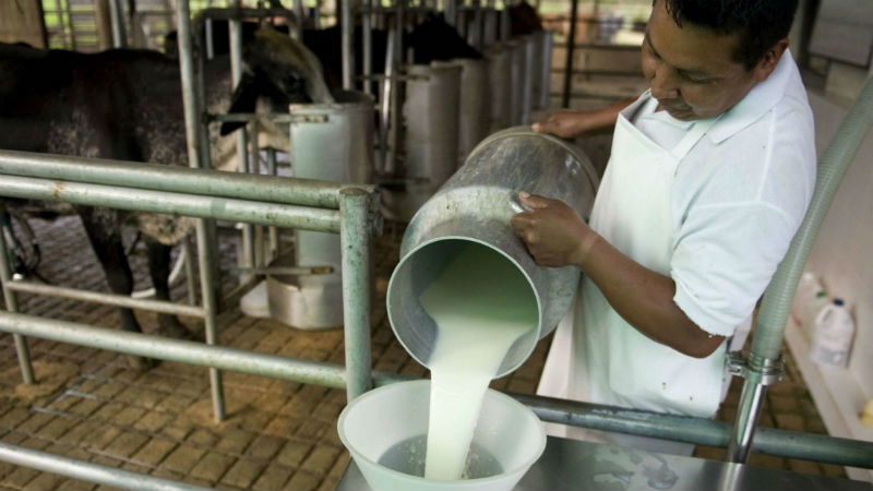 Milk 2