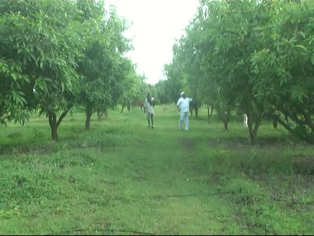 bdr modern farmer 5