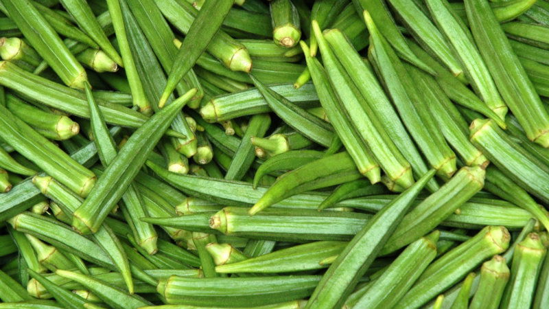 benefits of eating okra ladies f