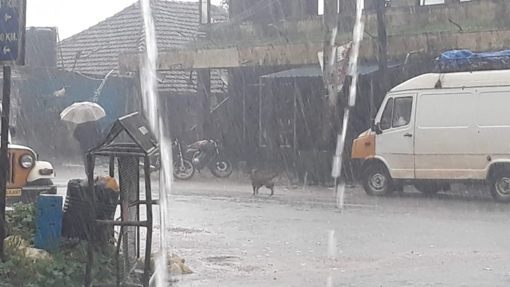 ckm rain