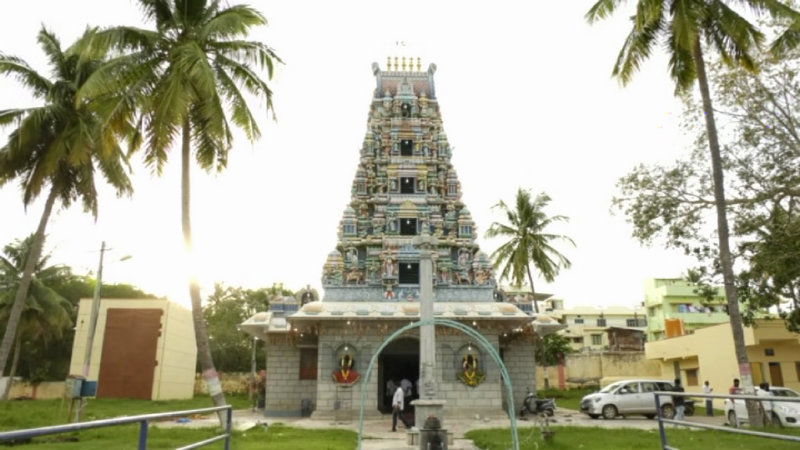 dk mane devru
