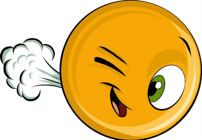 fart 6