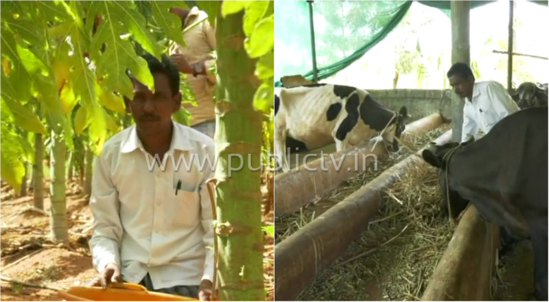 gdg farmer 3