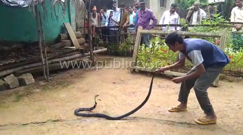 kwr kalinga sarpa