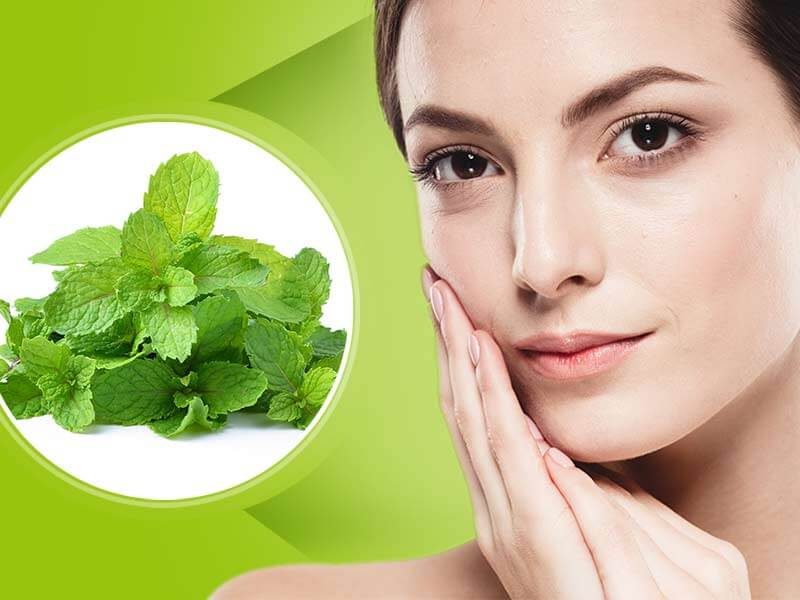 mint leaves beauty benefits 1