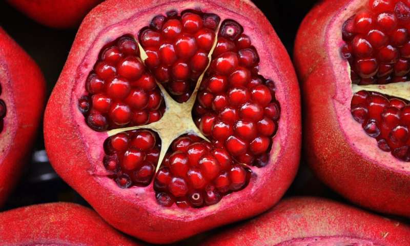 pomegranate 1