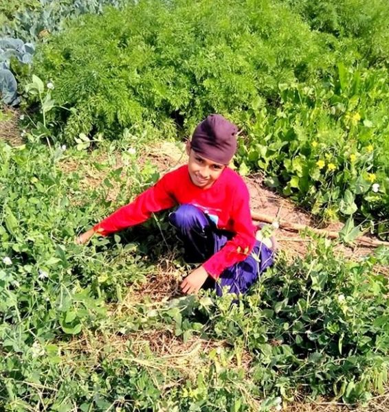 Farmer son 1 e1575012969679