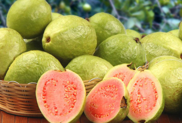 GUAVA 2