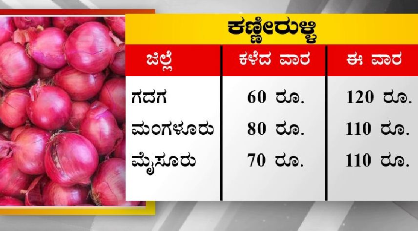 Onion