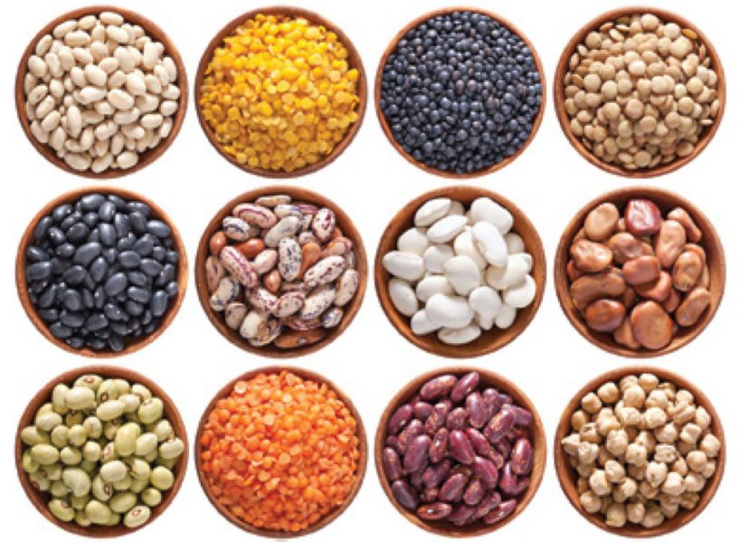 Pulses photo FAO 1024x752