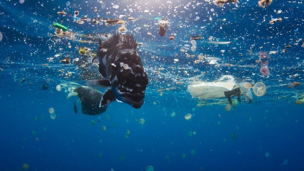 SEA PLASTIC