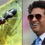 Sachin Tendulkar B