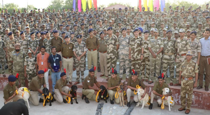army dogs 2
