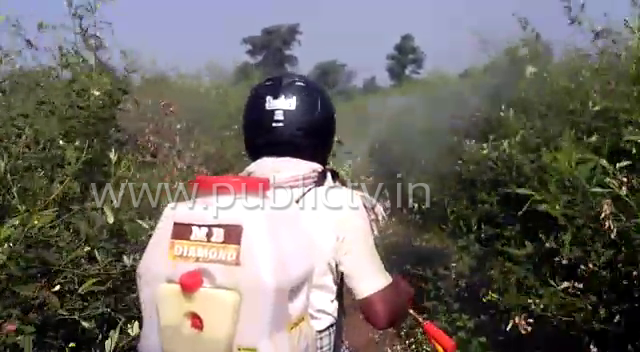 bdr farmer helmet 4 copy