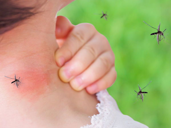 dengue