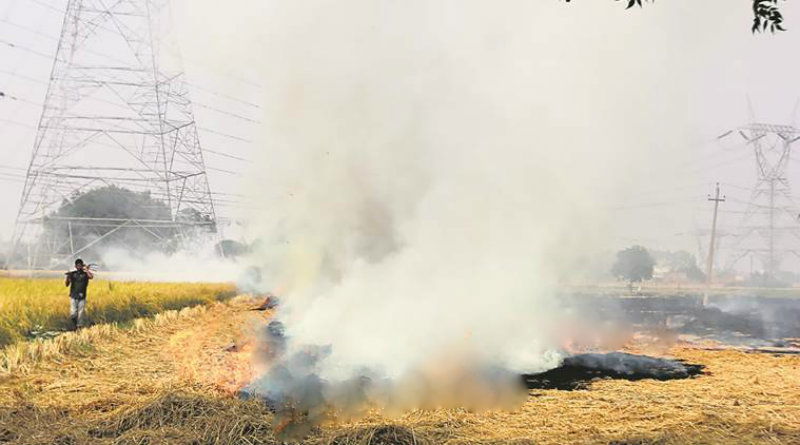 farmers agriculture waste 2