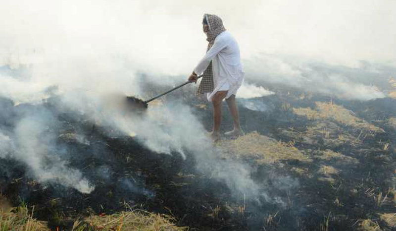 farmers agriculture waste