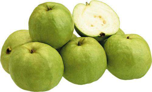 fruit