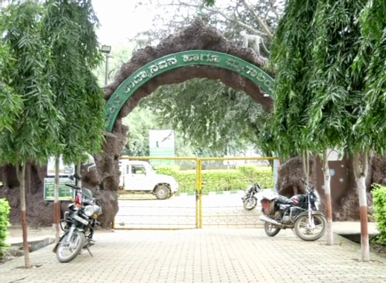 gdg zoo vasuli 5